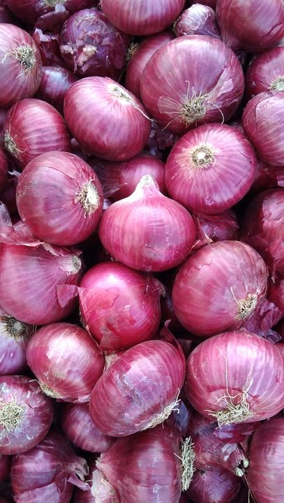 Onion uploaded by business on 3/1/2022