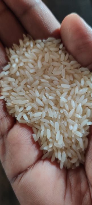 Sona masoori rice uploaded by Shri Balaji coal traders on 3/1/2022