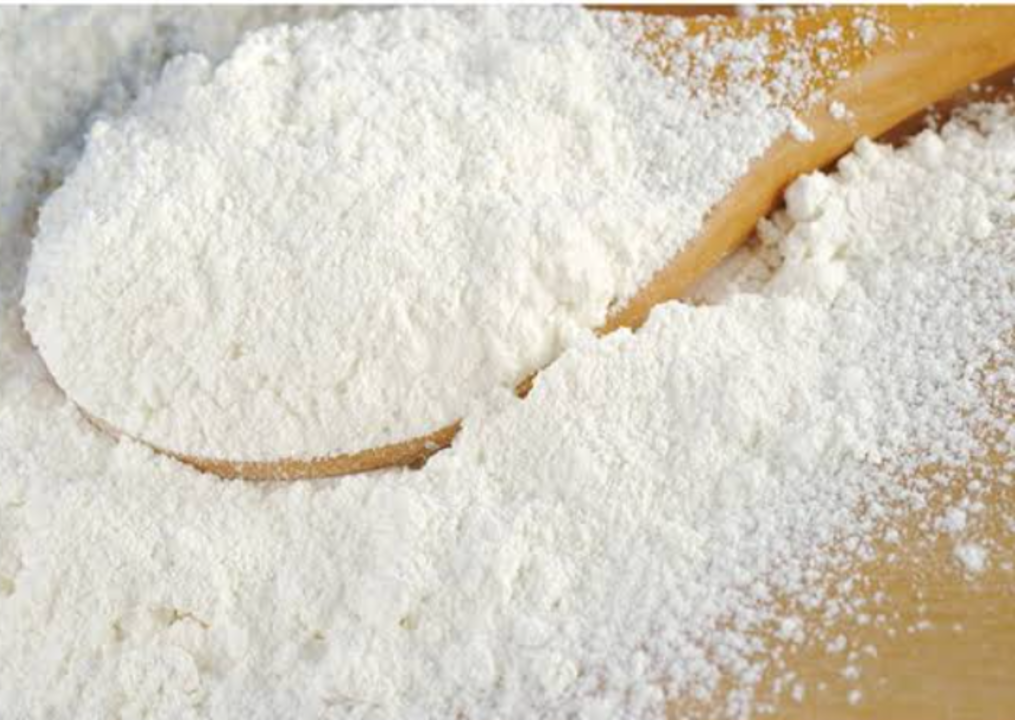 Flour Maida uploaded by Shailja Enterprises on 3/1/2022