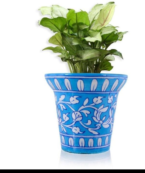 planters. uploaded by blue pottery Jaipur on 3/2/2022