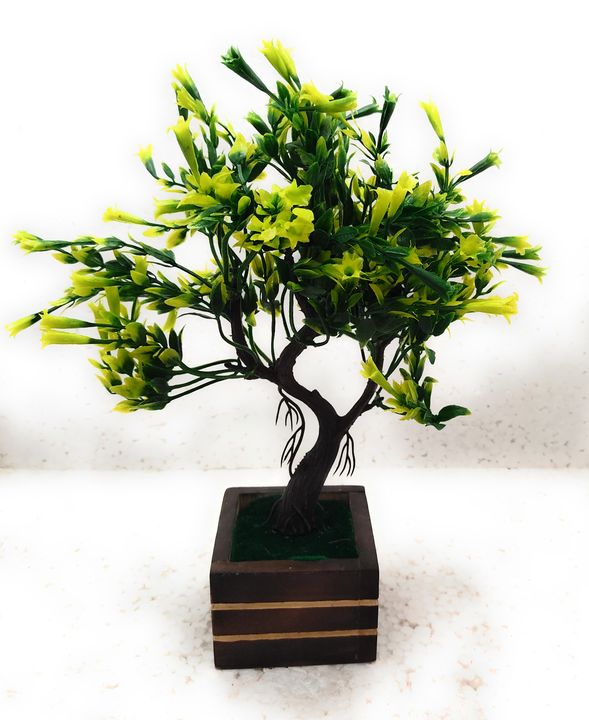 TFH bonsai plant with pot. uploaded by Tiwari Fashion House on 3/2/2022
