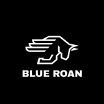 Business logo of Blue Roan Fashion
