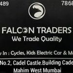 Business logo of Falcon