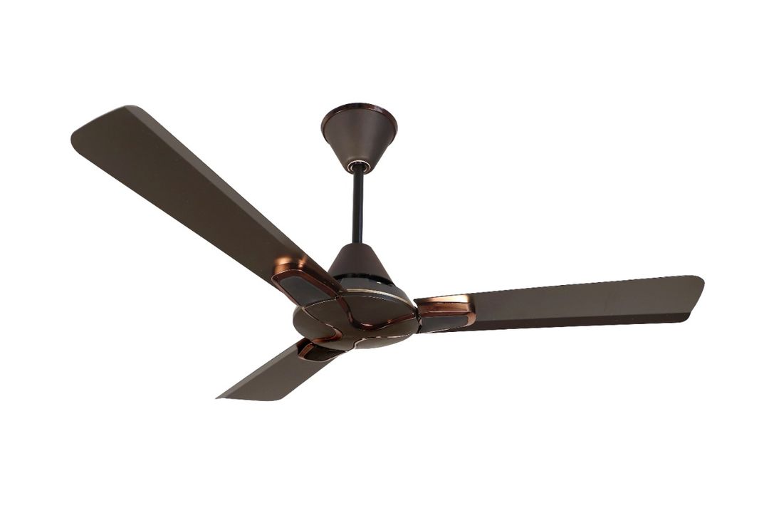 Electrical ceiling fans uploaded by business on 3/3/2022