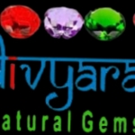 Business logo of Shree divyaratna
