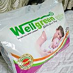 Business logo of Wellgreen Pillow xpress