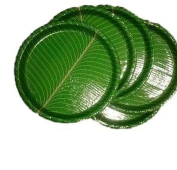 Green kella ptta paper plate uploaded by Mhalaxmi enterprises on 3/9/2022