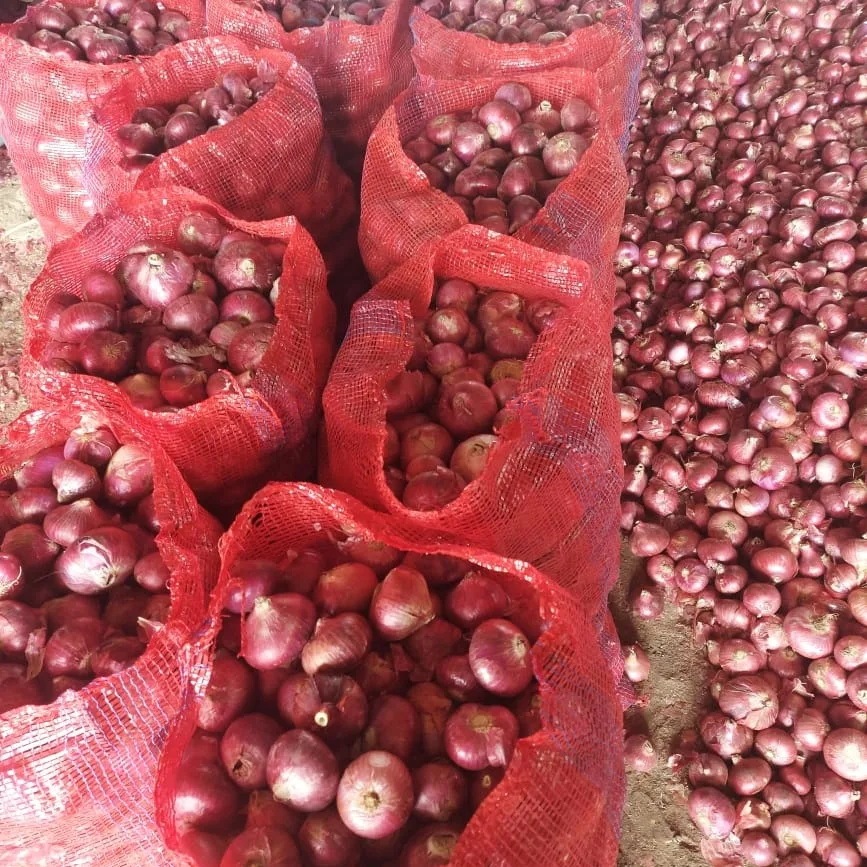 Red onion uploaded by Aeon exim International on 3/9/2022