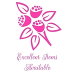 Business logo of Excellent Items Available