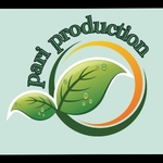 Business logo of Pari Production