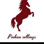 Business logo of Pinkun sellings