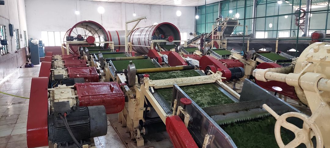 Post image Our Tea Manufacturing Factory