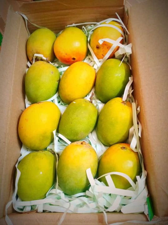 Post image We deal into Pure Chemical free RATNAGIRI ALPHONSO MANGO. At Present, delivery in Bangalore only. Do message me for the same for any other Location. DIRECT FARM TO HOME.