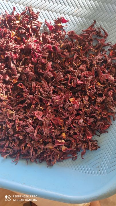 Hibiscus flowers petals uploaded by Morish Botanicals on 3/16/2022