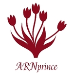 Business logo of ARNprince