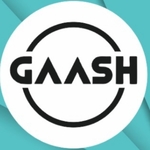 Business logo of Gaash led