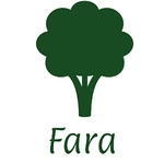 Business logo of Fara online store