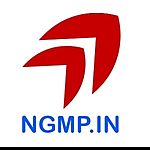 Business logo of Ngmp.in