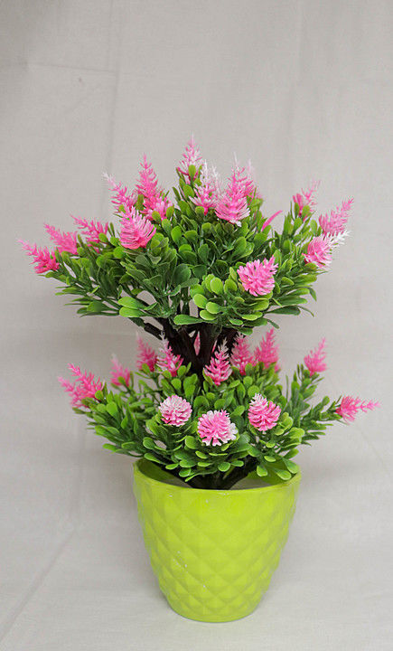 Flower pot double fern uploaded by Hello Bucket on 10/14/2020