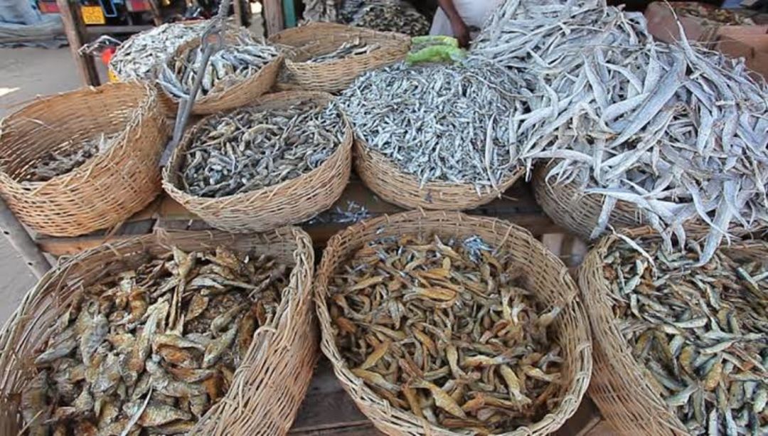 Dry fish | Dried fish, export quality  uploaded by SM Shopee on 3/20/2022