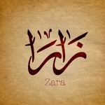 Business logo of ZARA CREATION'S