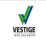 Business logo of Authorised Vestige distributer