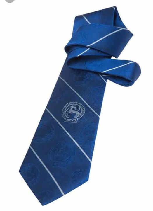 School tie uploaded by business on 3/22/2022