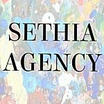 Business logo of Sethia Agency