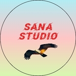 Business logo of Sana factions