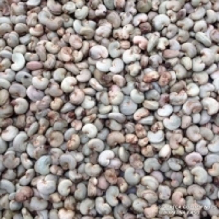 Raw cashew nut uploaded by business on 10/15/2020