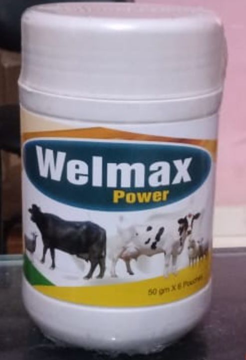 Welmax uploaded by business on 3/24/2022