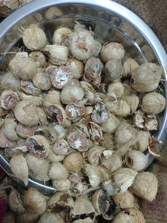Post image I want 500 Kg of Manglore Ulli supari full dry.