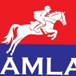 Business logo of DREAMLAND