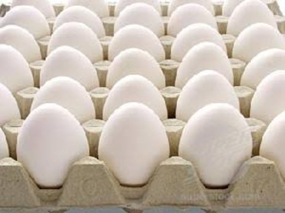 Chicken eggs  uploaded by business on 3/25/2022