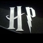 Business logo of Hp sarees