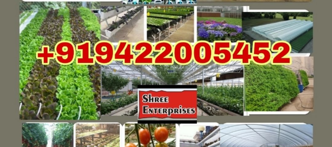 Shop Store Images of Shree Enterprises