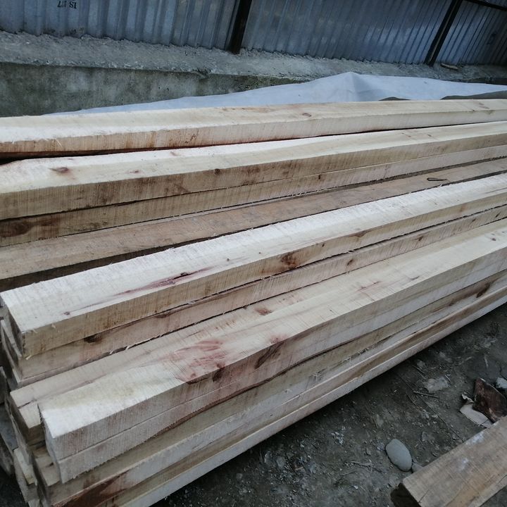 Kashmiri poplar timber  uploaded by business on 3/27/2022