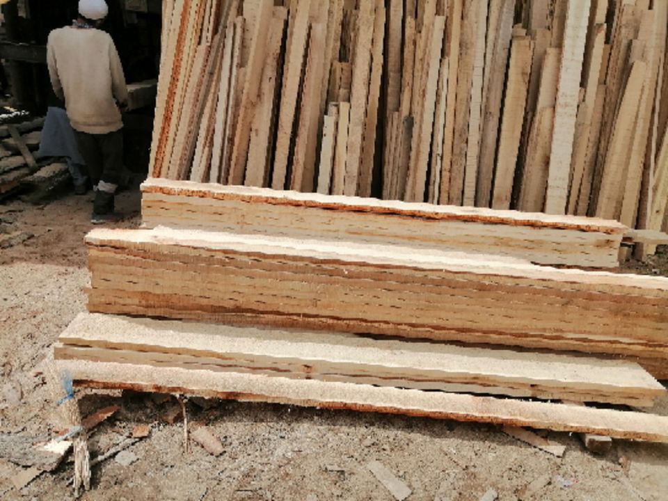 Fhata for shuttering  uploaded by Sahil Timber traders  on 3/27/2022