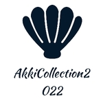 Business logo of Akkicollection2022