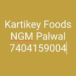 Business logo of Kartikey Foods