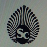 Business logo of Shree Sai Collection