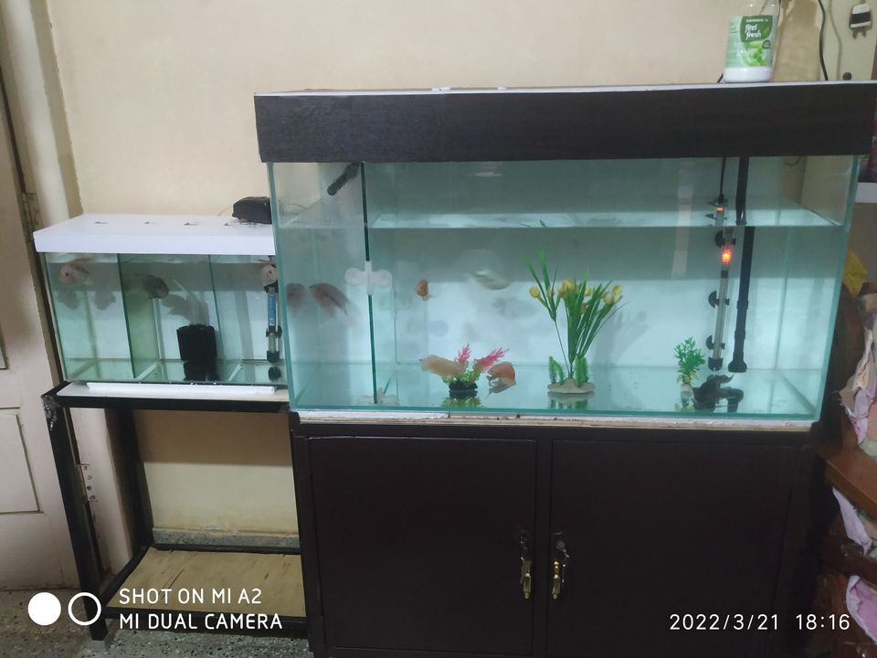 Post image Welcome to Happy Aquatic Zone
Please go through the catalogue while our team get back to you.
1. All size customised fish tanks available both in plain and extra clear glass.2. Both zero silicone and full silicone technique.3. Reasonable price guaranteed.4. Home delivery available.5. Delivery all over Bangalore.6. Free service on leakage with 1 year warranty.7. Contact 9035955510 for information.8. Tank tops also available.