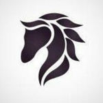 Business logo of Stallion shirts company