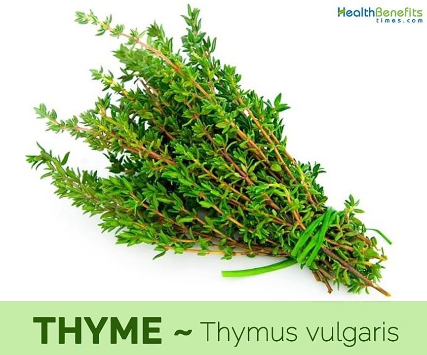Thyme uploaded by business on 10/16/2020