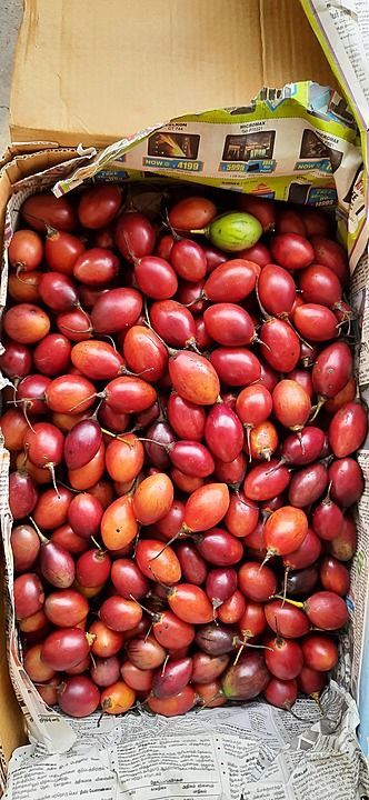 Tree tomato  uploaded by business on 10/16/2020