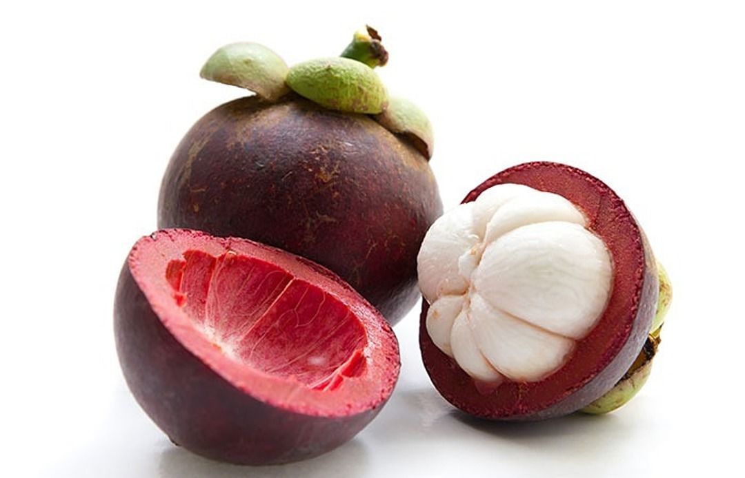 Mangosteen  uploaded by business on 10/16/2020