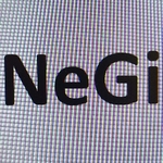 Business logo of Negi