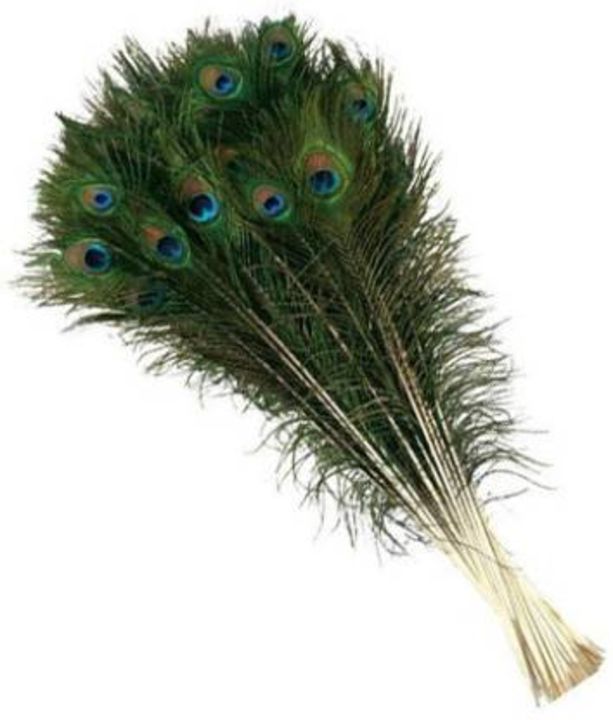 Original Peacock Feather MORPANKH  uploaded by business on 4/4/2022