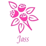 Business logo of jAss