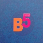 Business logo of B5 wholesale godown